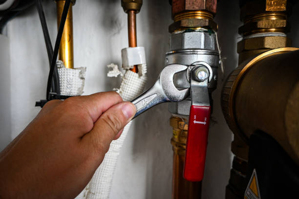 Best Septic Systems  in Coralville, IA